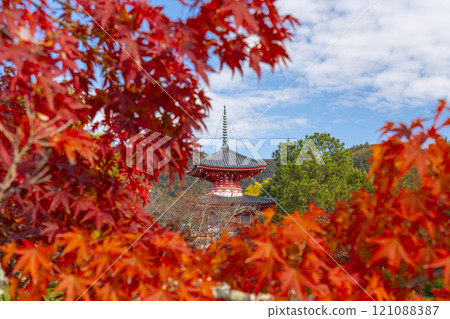 秋天的京都,大覺寺,秋葉覆蓋的神橋寶塔 秋天的京都,大覺寺,秋葉覆蓋的神橋寶塔 121088387