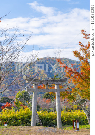 Autumn in Kyoto, Daikakuji Temple, overlooking Osawa Pond through the torii gate Autumn in Kyoto, Daikakuji Temple, overlooking Osawa Pond through the torii gate 121088393