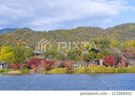 秋天的京都、大覺寺、秋葉覆蓋的大澤池 秋天的京都、大覺寺、秋葉覆蓋的大澤池 121088402
