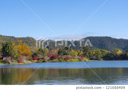 秋天的京都、大覺寺、秋葉覆蓋的大澤池 121088409