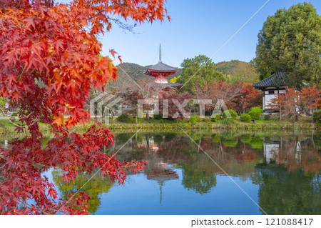 京都的秋天，大覺寺，神橋寶塔倒映在北條池中 121088417