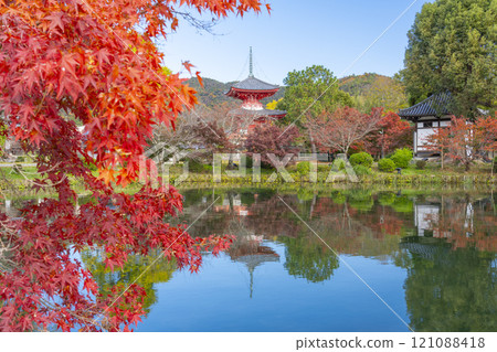 京都的秋天，大覺寺，神橋寶塔倒映在北條池中 121088418