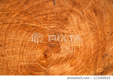 Chainsaw cut oak wood texture, sawn wood texture Chainsaw cut oak wood texture, sawn wood texture 121088620