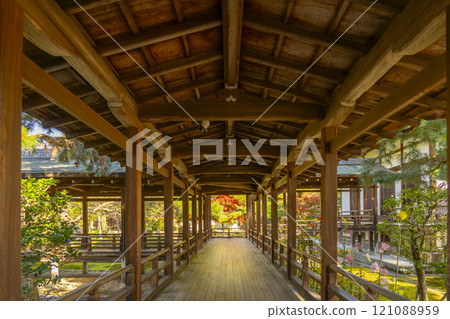秋天的京都 大覺寺村雨迴廊 秋天的京都 大覺寺村雨迴廊 121088959