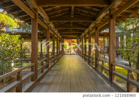 秋天的京都 大覺寺村雨迴廊 121088960