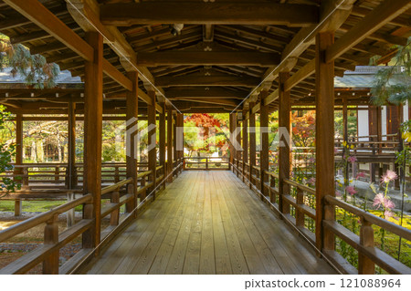 秋天的京都 大覺寺村雨迴廊 秋天的京都 大覺寺村雨迴廊 121088964