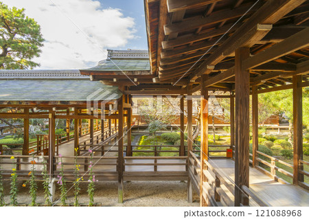秋天的京都 大覺寺村雨迴廊 秋天的京都 大覺寺村雨迴廊 121088968