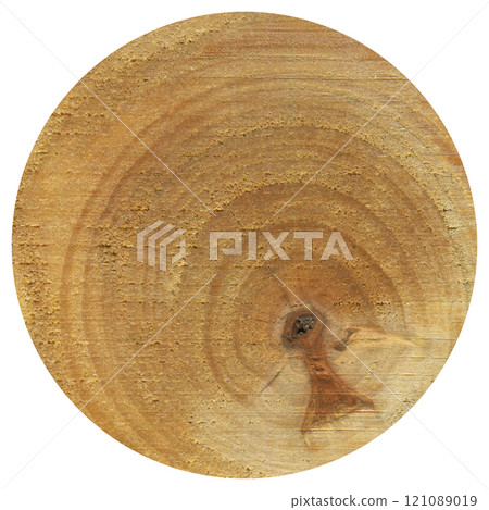 Hornbeam wood, can be used as background, wood grain texture 121089019