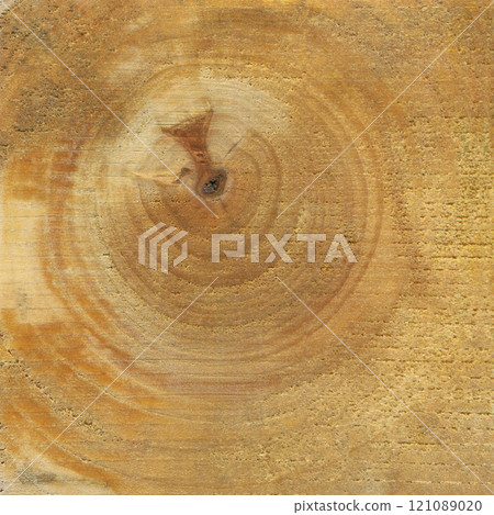 Hornbeam wood, can be used as background, wood grain texture Hornbeam wood, can be used as background, wood grain texture 121089020