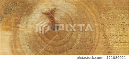Hornbeam wood, can be used as background, wood grain texture 121089021