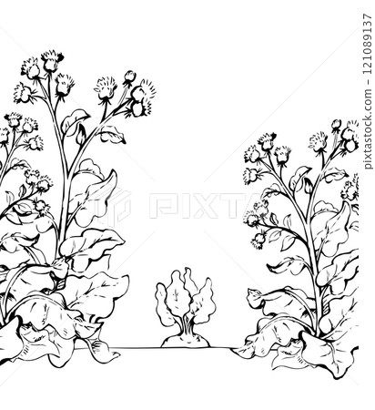 Weeds in the garden. Vector drawing 121089137