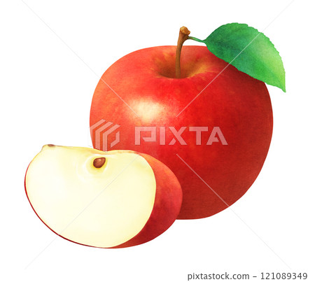 Hand-drawn watercolor illustration of red apples and leaves_cut apples_fresh fruit Hand-drawn watercolor illustration of red apples and leaves_cut apples_fresh fruit 121089349