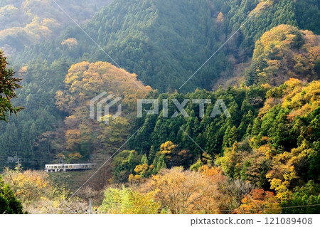 Seibu Chichibu Line "Laview running through the hilly mountainous area with yellow leaves" Seibu Chichibu Line "Laview running through the hilly mountainous area with yellow leaves" 121089408