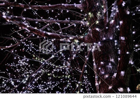 Tree Decorated for Christmas at Night Tree Decorated for Christmas at Night 121089644