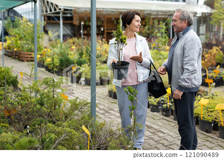 Elderly man and woman buying yew plant at an open market Elderly man and woman buying yew plant at an open market 121090489