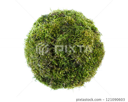 Moss sphere 121090603