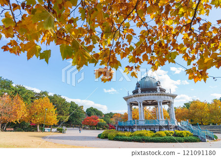 鶴舞公園的音樂廳,梧桐樹泛黃(愛知縣名古屋市) 鶴舞公園的音樂廳,梧桐樹泛黃(愛知縣名古屋市) 121091180
