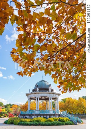 鶴舞公園的音樂廳,梧桐樹泛黃(愛知縣名古屋市) 鶴舞公園的音樂廳,梧桐樹泛黃(愛知縣名古屋市) 121091182