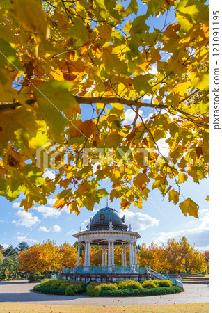 Tsuruma Park's Concert Hall and yellow-colored plane trees (Nagoya City, Aichi Prefecture) Tsuruma Park's Concert Hall and yellow-colored plane trees (Nagoya City, Aichi Prefecture) 121091195