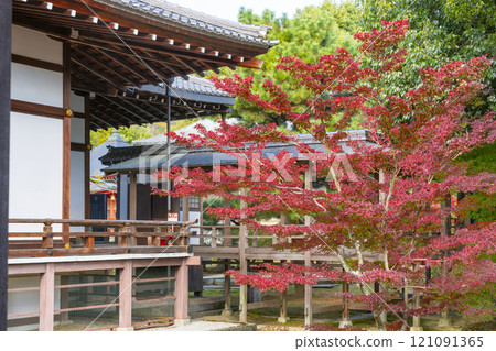 秋天的京都,大覺寺地區,從走廊可以看到秋葉 秋天的京都,大覺寺地區,從走廊可以看到秋葉 121091365
