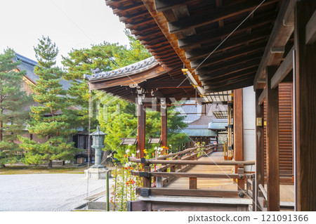 京都的秋天，大覺寺，神橋前殿和白沙花園 121091366