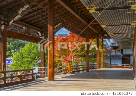 京都的秋天，大覺寺，新殿和前花園 121091372