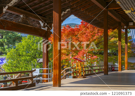 京都的秋天，大覺寺，新殿和前花園 121091373
