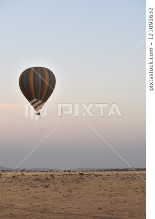 African wildlife 121091632