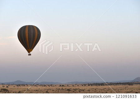 African wildlife 121091633