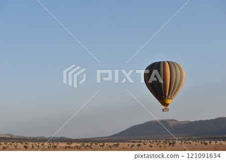 African wildlife 121091634
