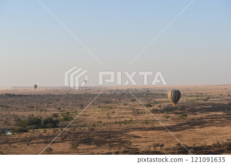 非洲野生動物 121091635