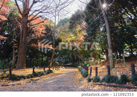 The footpath in Kitanomaru Park in the outer gardens of the Imperial Palace in the depths of autumn. You can enjoy the silence that you would never expect in the city center. 121092353