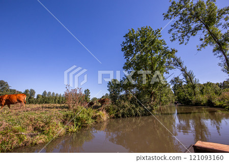 Boat trip on an inner canal in the Marais Poitevin 121093160
