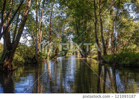 Boat trip on an inner canal in the Marais Poitevin 121093187