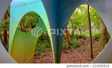 Humming Bloom in Hakone Woodlands Japan 121093914