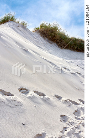 Landscape of beach sand dunes on the empty west coast of Jutland in Loekken, Denmark. Blue sky with copyspace, tufts of lush green grass growing on a summer day. Sandy footprints along ocean and sea 121094164