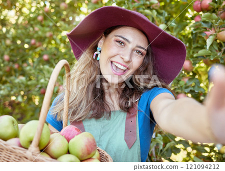 Portrait of one happy woman taking selfies while holding basket of fresh picked apples on sustainable orchard farm outside on sunny day. Cheerful farmer harvesting juicy organic seasonal fruit to eat 121094212