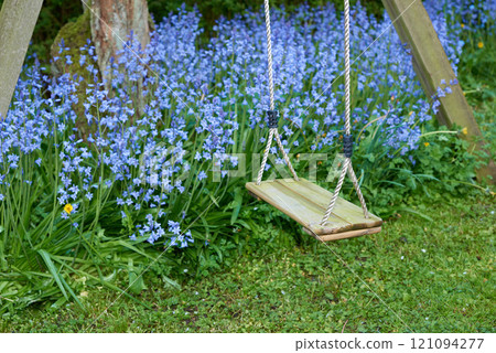 A wooden tree swing hanging with nylon rope and a background bush of vibrant bluebell flowers. Serene, peaceful private home backyard with blue scilla siberica plants growing in empty tranquil garden A wooden tree swing hanging with nylon rope and a background bush of vibrant bluebell flowers. Serene, peaceful private home backyard with blue scilla siberica plants growing in empty tranquil garden 121094277