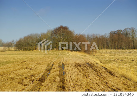 Wet farm land and trees in the countryside. Open wetland or a swamp covered in yellow haylike lawn grass with forestry in the background. Empty agricultural field with water puddles due to rainfall Wet farm land and trees in the countryside. Open wetland or a swamp covered in yellow haylike lawn grass with forestry in the background. Empty agricultural field with water puddles due to rainfall 121094340