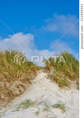 Landscape of sand dunes under cloudy blue sky copy space on the west coast of Jutland in Loekken, Denmark. Closeup of tufts of green grass growing on an empty beach during a sunny summer day Landscape of sand dunes under cloudy blue sky copy space on the west coast of Jutland in Loekken, Denmark. Closeup of tufts of green grass growing on an empty beach during a sunny summer day 121094341