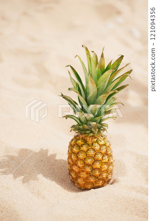 Pineapple, tropical summer and beach sand to for travel to ocean vacation, island relaxing and caribbean holiday in sunshine. Outdoor background of fruits, shore and peaceful tourism at Hawaii resort 121094356