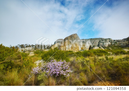 Hout Bay nature 121094358