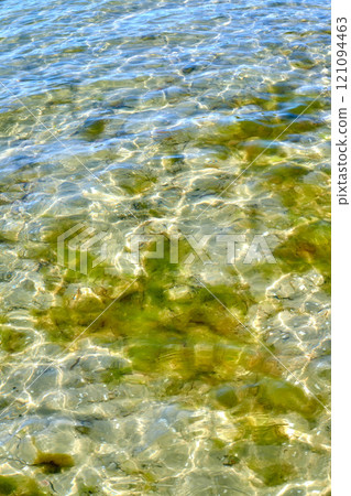 A closeup of a calm shallow rocky floor of an ocean, pond, or lake with green moss growing underwater. Tiny little ripple waves and sunlight shining on a sunny summer day in a bed of fresh water 121094463