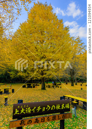 Enjoy the beautiful autumn leaves at Kami-Osako Ginkgo Forest Square Enjoy the beautiful autumn leaves at Kami-Osako Ginkgo Forest Square 121094934
