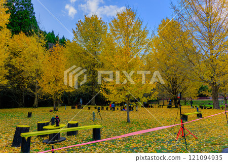 Enjoy the beautiful autumn leaves at Kami-Osako Ginkgo Forest Square 121094935