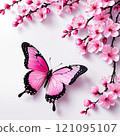 beautiful butterfly with pink flowers 121095107