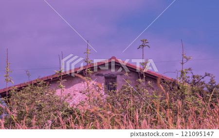 roof of an old farmhouse 121095147