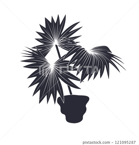 Black linocut silhouette of potted houseplant fan palm 121095287