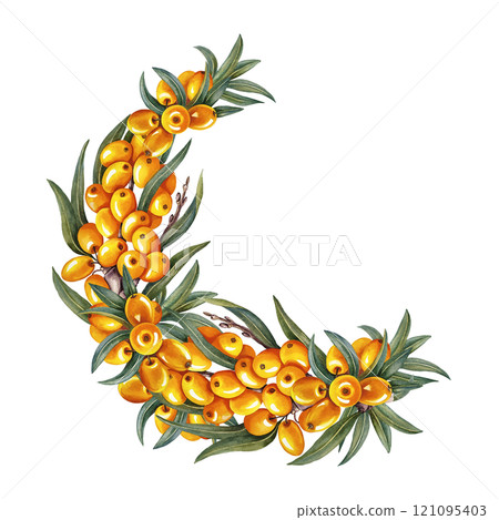 A branch with sea buckthorn berries. Hand-made watercolor illustration. Isolate. For cosmetology and pharmaceuticals. For the design of packaging, labels, recipes and posters. A branch with sea buckthorn berries. Hand-made watercolor illustration. Isolate. For cosmetology and pharmaceuticals. For the design of packaging, labels, recipes and posters. 121095403