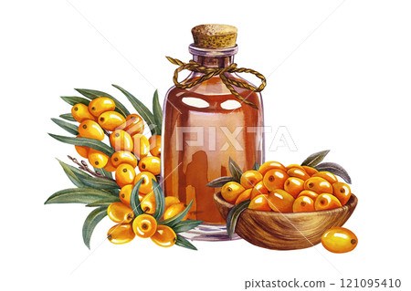 Sea buckthorn in a wooden bowl and sea buckthorn oil in a vintage glass bottle. A hand-drawn watercolor illustration. For cosmetology and pharmaceuticals. For packaging, labels, flyers and posters. 121095410